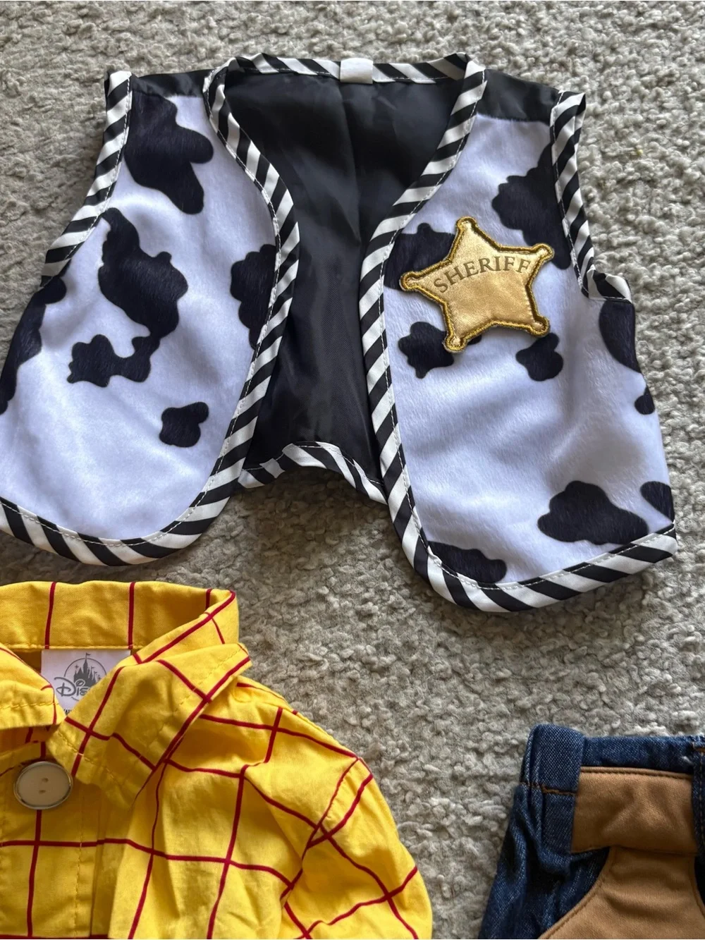 Disney woody costume